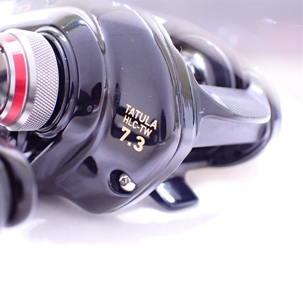 １５タトゥーラＨＬＣ ＴＷ７．３左